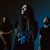 Lines of Loyalty - Winless War