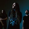 Lines of Loyalty - Winless War