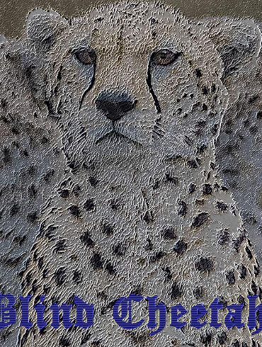 Blind Cheetah - Rise