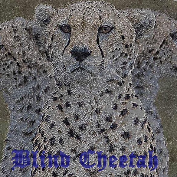 Blind Cheetah - Rise