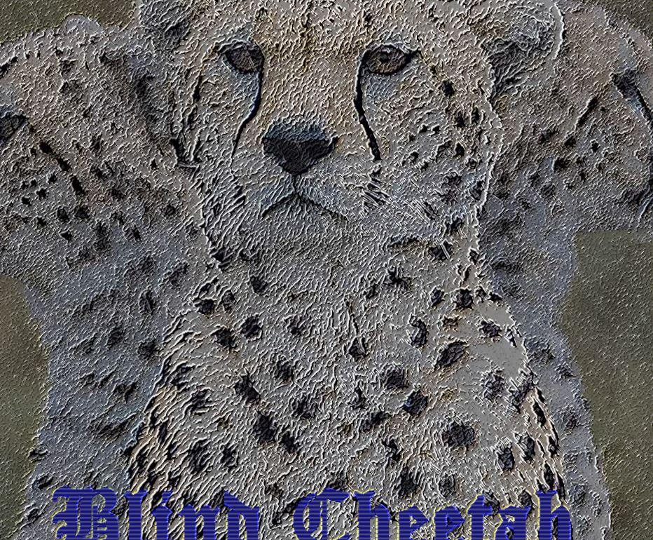 Blind Cheetah - Rise