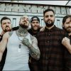 Get The Shot - Seeds of Dissension