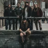 Dead Low - Krysa