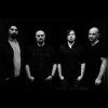 Surgent - Branch And Bone