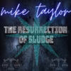 Mike Taylor - A Salute to the Metal Gods