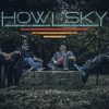 Howl at the sky - Our Lady of the Knives / Stink Eye