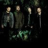 Ribozyme - CELESTIAL LOW