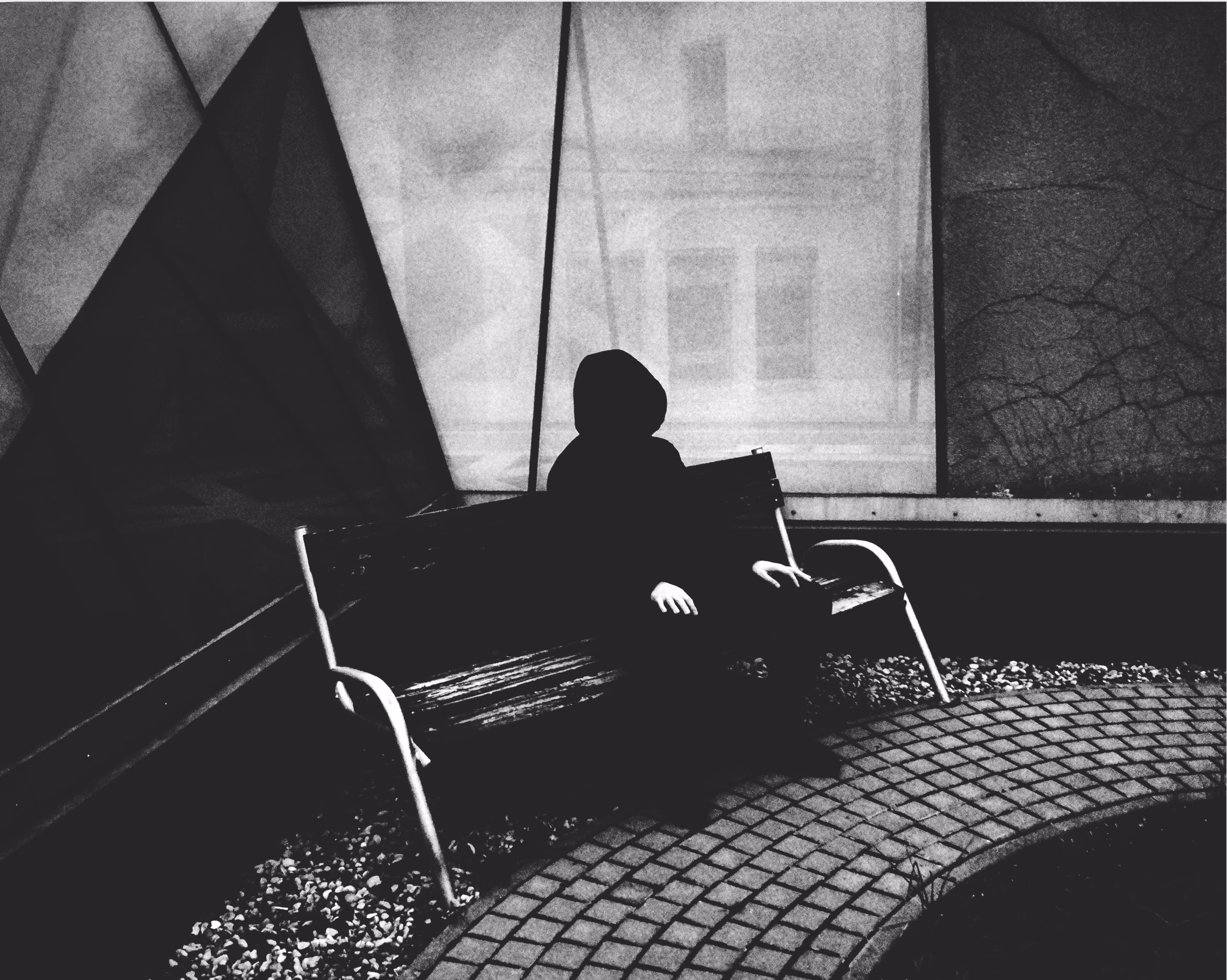 Moth Collector - The Wind