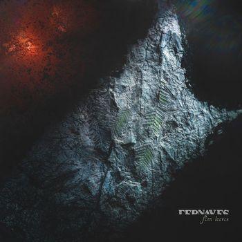 Fernaves - Fern Leaves