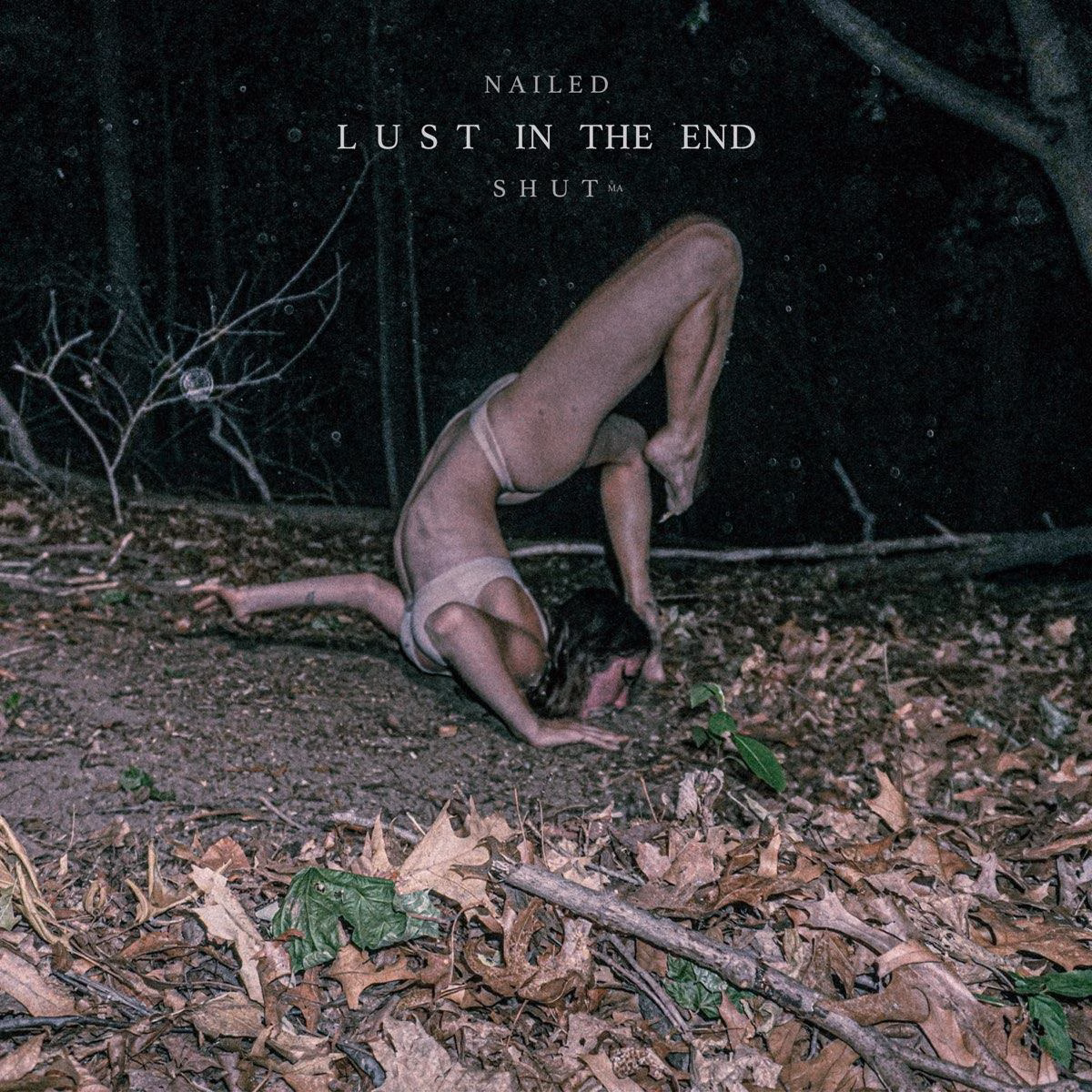 Nailed Shut MA - LUST IN THE END