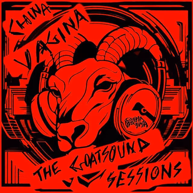 China Vagina - China Vagina