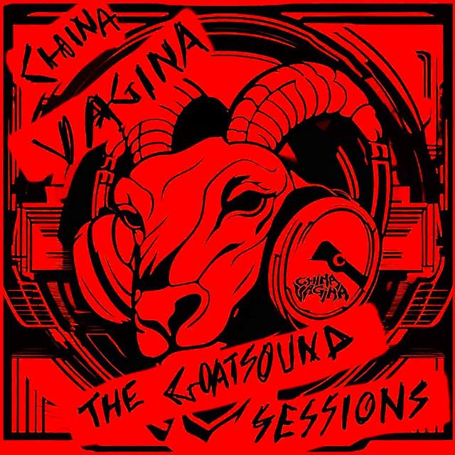 China Vagina - China Vagina