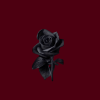 Blackened Rose - Danger