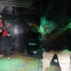 Lobotomica - ....e progresso