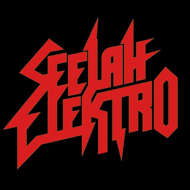 Seelah Elektro - We All Belong to You