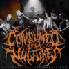 Consumed By Voltures - Canto VII. Encaustum-papyrys excelsi