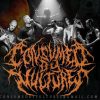 Consumed By Voltures - Canto VII. Encaustum-papyrys excelsi