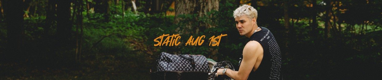 Dying in Designer - Static