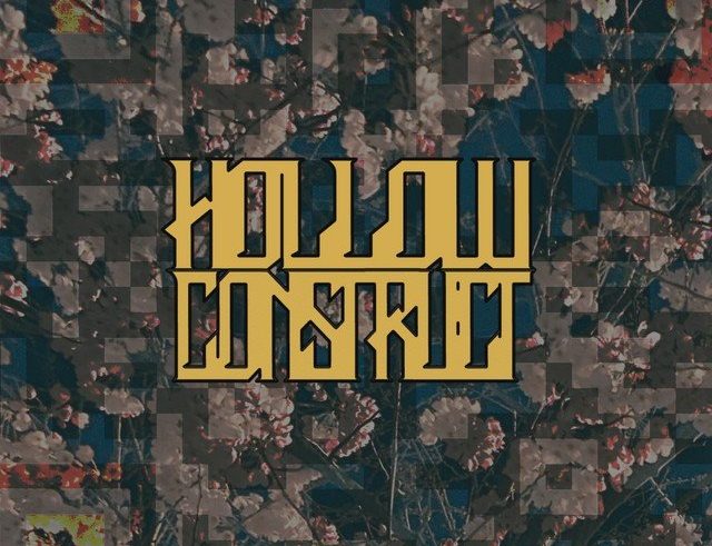 Hollow Construct - I'm Glad You're Uncomfortable