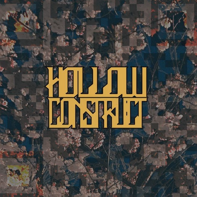 Hollow Construct - I'm Glad You're Uncomfortable