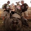 Oinkliteration - Fleshitter