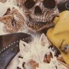 I Am No Longer A Ghost - Executioner / Impossibly Free