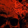 Incineration in the Infinite - Birth in Hell