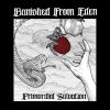 Banished From Eden - From The Light