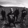 Shadows Decay - Falling of Mind