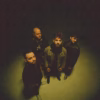 The Failsafe - WOLVES