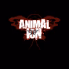AnimaL ioN - Band-Aids