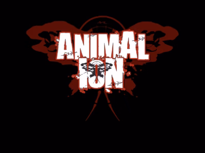AnimaL ioN – Band-Aids