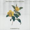 Patient Sixty-Seven - Hibbertia (Reduxe) feat. Hollow Front