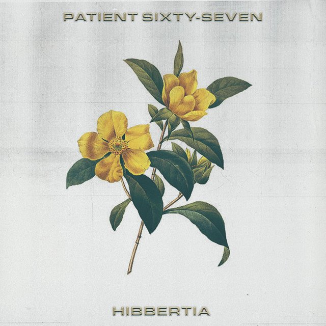 Patient Sixty-Seven - Hibbertia (Reduxe) feat. Hollow Front