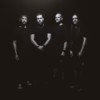 Zeolite - Oozing Black