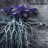 Judge & Jury - Euphoria
