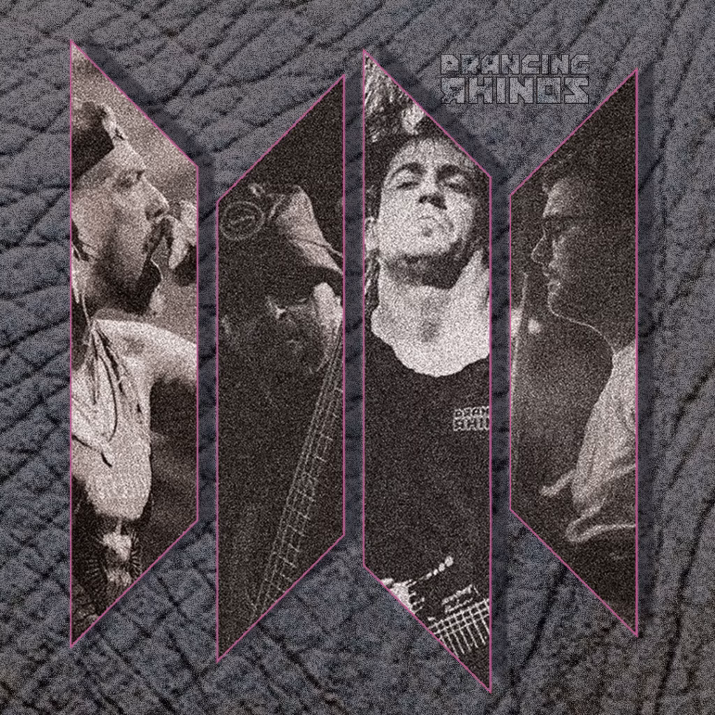 Prancing Rhinos – Disco Massacre