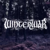 Winterwar - Skogbrann