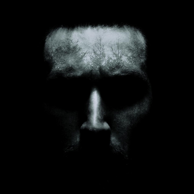 Beithíoch - Headhunter