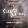 Cellar Darling return to Portugal, this time in their own name.