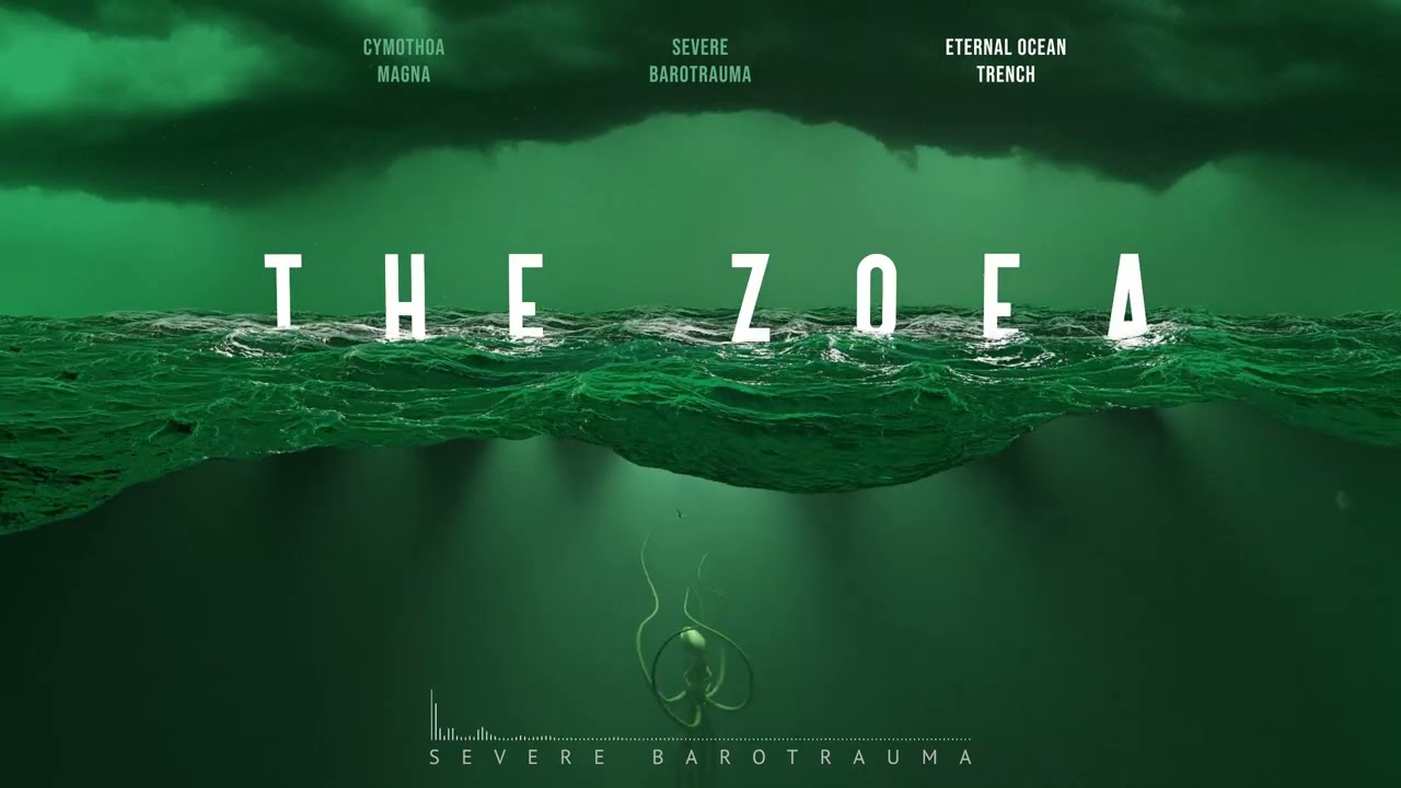The Zoea - Cymothoa Magna