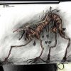 Elk Hunter - Not Everyone Gets Saved