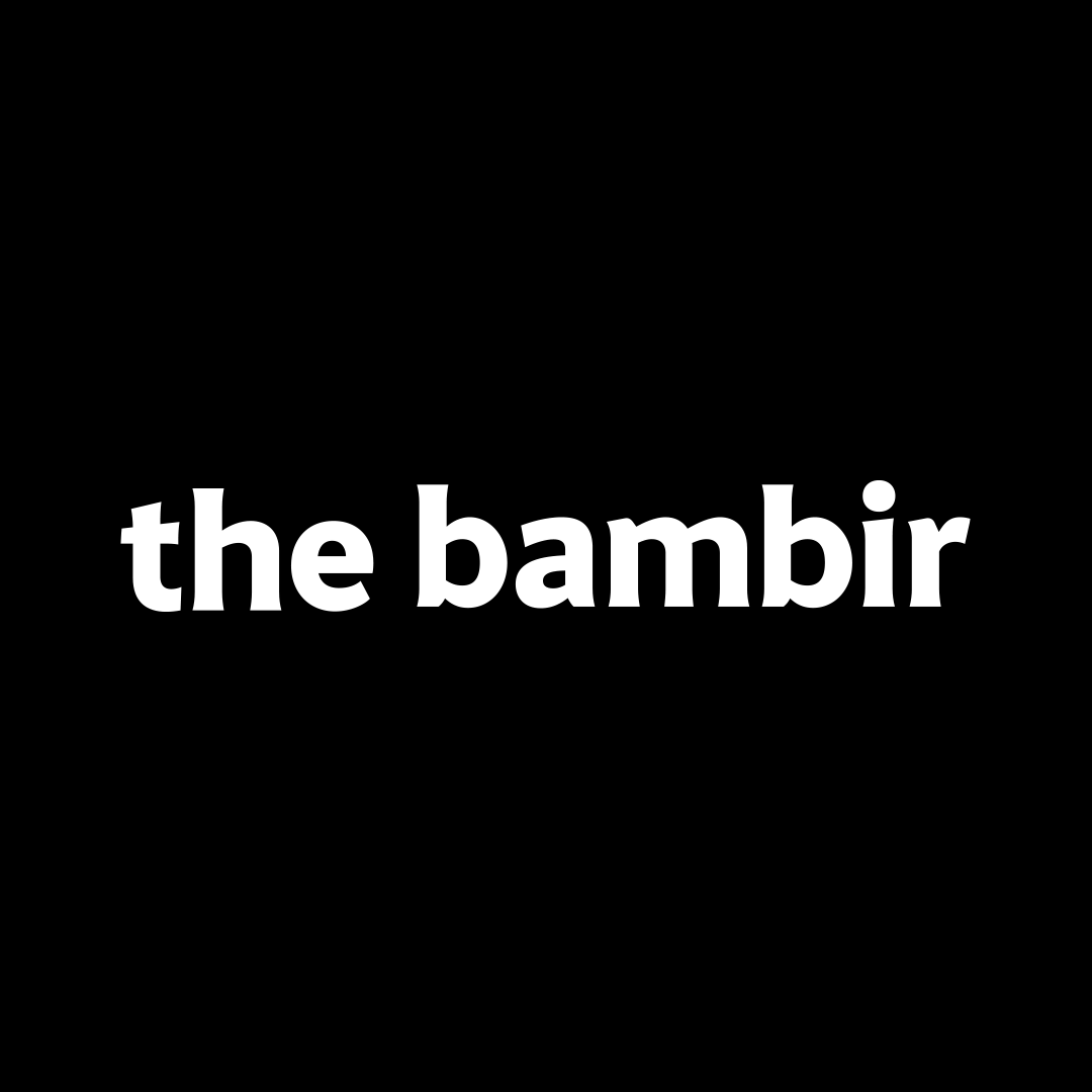 The Bambir – Lose Yourself
