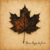 Awake The Dreamer – Years Begin to Fade
