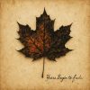 Awake The Dreamer – Years Begin to Fade