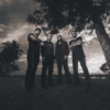 Fallen Letters - Distant Lines