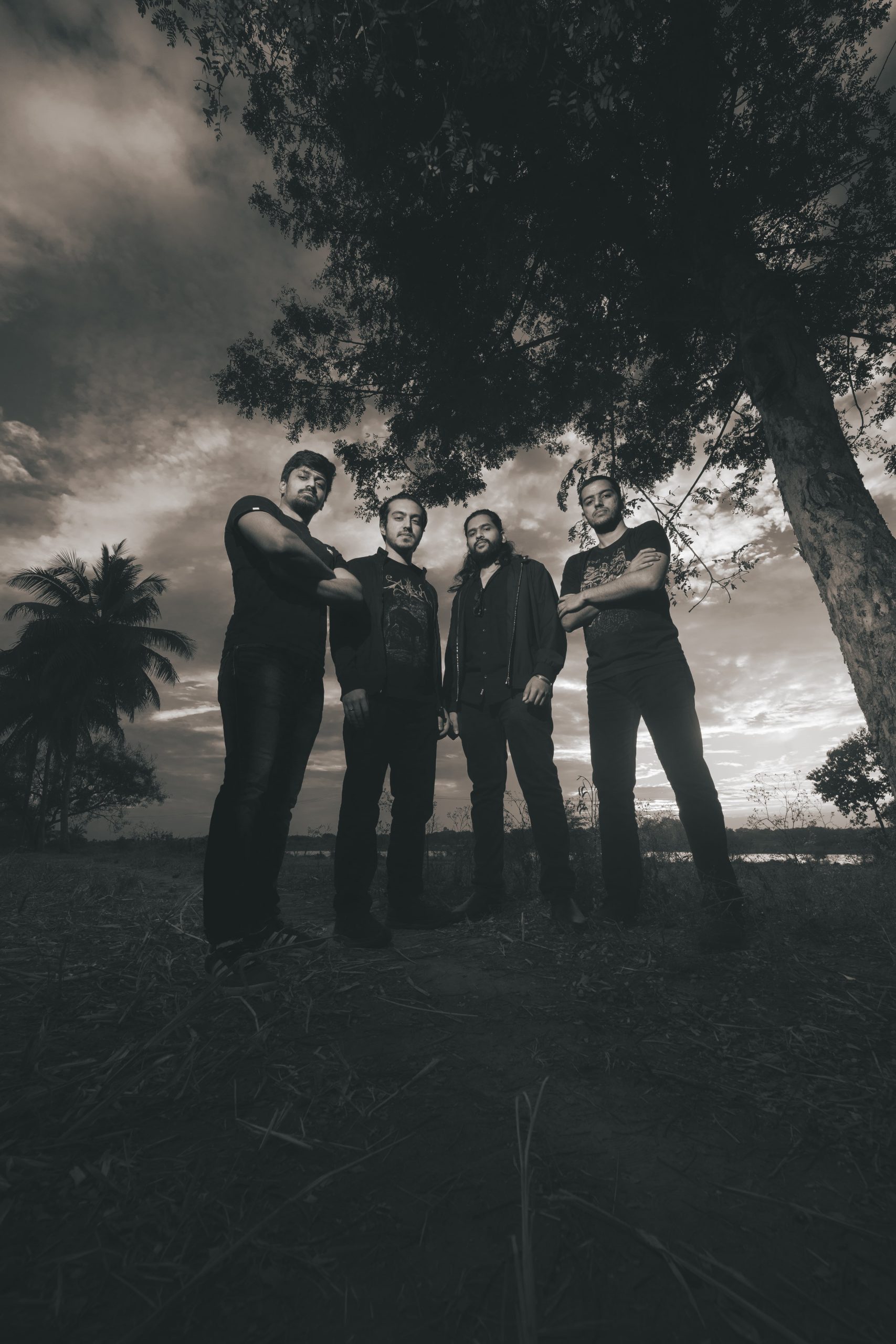 Fallen Letters - Distant Lines