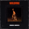 New Wave - Wildfire