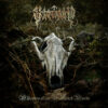 Schreigarm – Whispers of the Blackened Woods