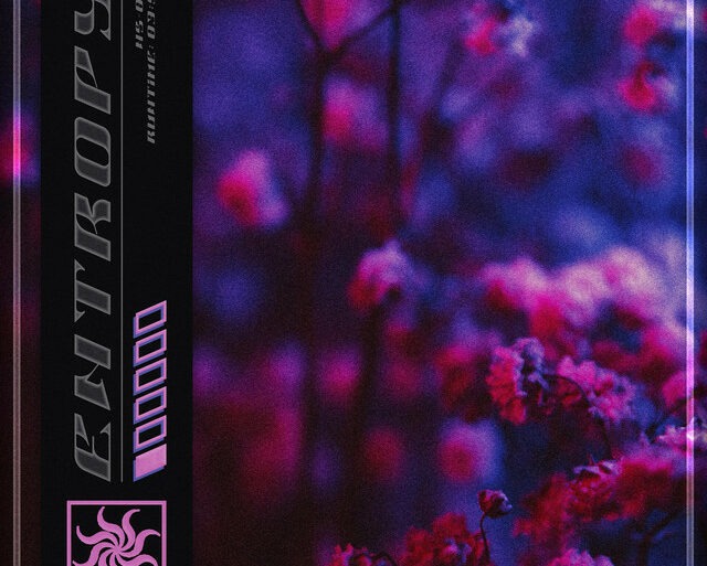 Assurance – Entropy